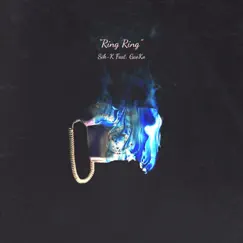 RING RING (feat. Gaeko) Song Lyrics