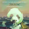 To Slow (feat. Ashibah) [Vintage Culture, Lazy Bear Version] - Single album lyrics, reviews, download