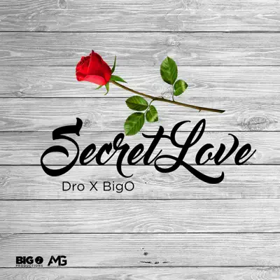 Secret Love - Single - Bigo