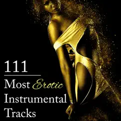 Erotic Instrumental Track Song Lyrics