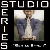 Gentle Savior artwork