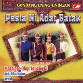 Gondang Uning Uningan - Pesta Ni Adat Batak, Vol. 1 (Instrumental) artwork