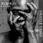 Seun Kuti & Egypt 80 - African Dreams