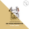 Flying Lamas - Single