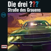 Folge 170: Straße des Grauens artwork