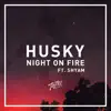 Night on Fire (feat. Shyam P) - Single album lyrics, reviews, download