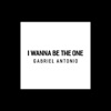 I Wanna Be the One - Single