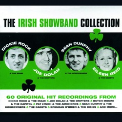 Brendan O'Brien & The Dixies - Little Arrows