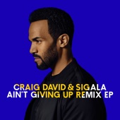 Ain't Giving Up (Remixes) - EP artwork
