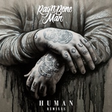 Human (Rudimental Remix) artwork