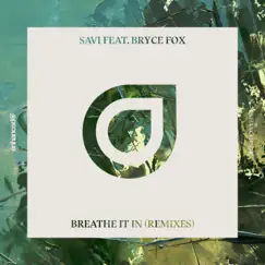 Breathe It In (feat. Bryce Fox) [Noah Neiman Remix] Song Lyrics