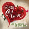 No Hay Novedad by Los Cadetes De Linares iTunes Track 20