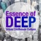 Drink and Relax (The Bahia's Friends Mix) - Piet Lorrigan lyrics