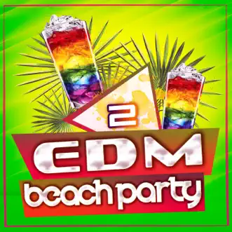 EDM Beach Party, Vol. 2 by Various Artists album reviews, ratings, credits