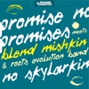 No Skylarking - Single