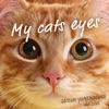SATOSHI YUMEMAKURA - My Cats Eyes