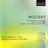 Violin Sonata in G Major, K.301: I. Allegro con spirito artwork