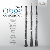 Concerto for 3 Oboes, 3 Violins and Continuo in B-Flat Major, TWV 44:3: II. Largo artwork