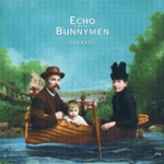 Echo & The Bunnymen - Flowers