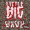 Hateful Love (feat. Danny Zuckerman) - Little Big lyrics