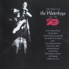 The Waterboys - The Whole of the Moon  artwork