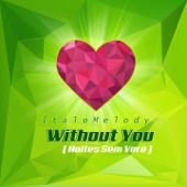 Without You (Claster DJ Remix) artwork