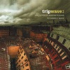 Tripwave 2: Collection of Modern Russian Psychedelic Music, 2016