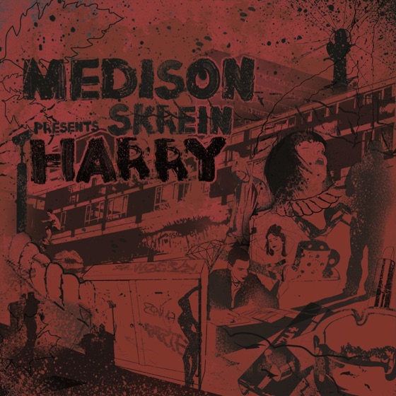 Cover artwork for Harry