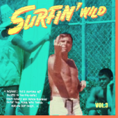 Surfin' Wild Vol.3, 16 Wild Instrumental Rockers - Artisti Vari