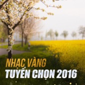 Nhạc Vàng Tuyển Chọn artwork