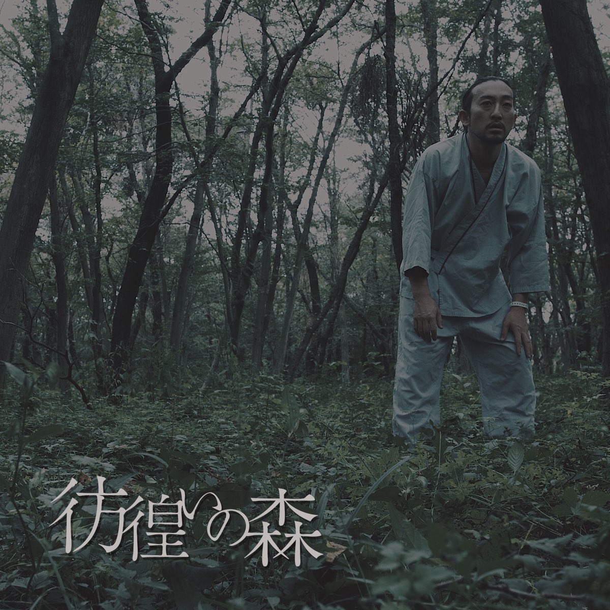 ‎NORIKIYOの「彷徨いの森 - Single」をApple Musicで