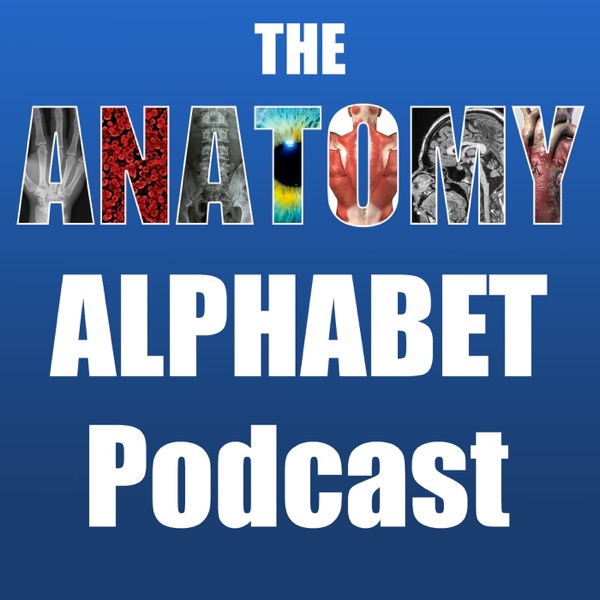 The Anatomy Alphabet Podcast cover