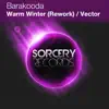 Stream & download Warm Winter (Rework) / Vector - Single