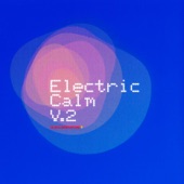 Global Underground - Electric Calm, Vol. 2 artwork