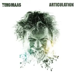 ladda ner album Timo Maas - Articulation