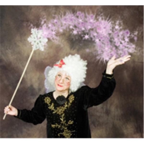 House Fairy Theater cover