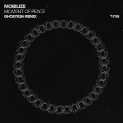 Mobilize - Moment of Peace