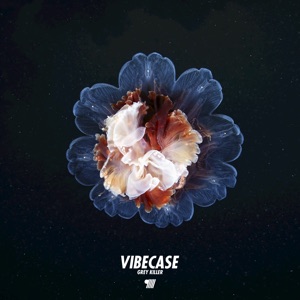 Vibecase - EP
