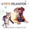 Pets Relaxation: Calming Music for Dogs & Cats, Gentle and Relaxing Songs to Calm Down Your Animal Companion album lyrics, reviews, download