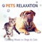 Calm Down Your Dog - Pet Music Academy lyrics