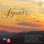 Now Comes Beauty (Version for Orchestra) artwork