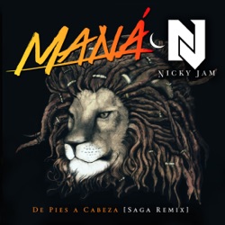 Maná - De Pies a Cabeza (Saga Remix)