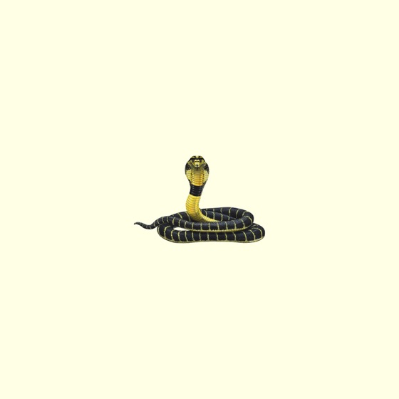 Cover artwork for Eddie