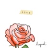 1243 - Single