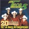 Los Castillos - LOS TECOS DE RIO GRANDE ZACATECAS lyrics