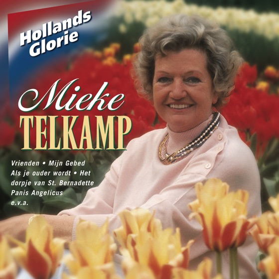 Cover artwork for Het Dorpje Van St. Bernadette
