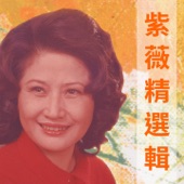 紫薇精選輯 artwork