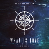 What Is Love 2016 (Remixes) artwork