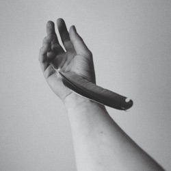Enzalla - Closure
