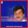 Pandiri Pancham (Original Motion Picture Soundtrack) - EP